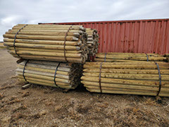 Pointed Fir Posts